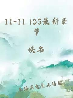 11-11 iOS最新章节